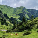 Abschluss Dienstag Wanderungen