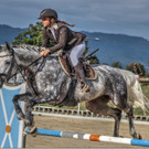 reiten rankweil.jpg