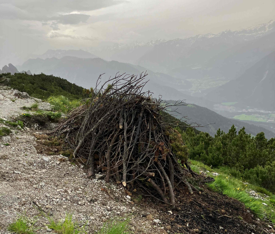 2024_06_29_NF_SWF Hoher Fra__en10.jpg