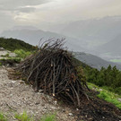2024_06_29_NF_SWF Hoher Fra__en10.jpg
