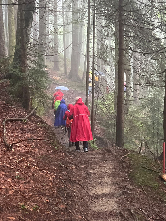 20240707_113613000_iOS 1.jpg