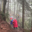 20240707_113613000_iOS 1.jpg