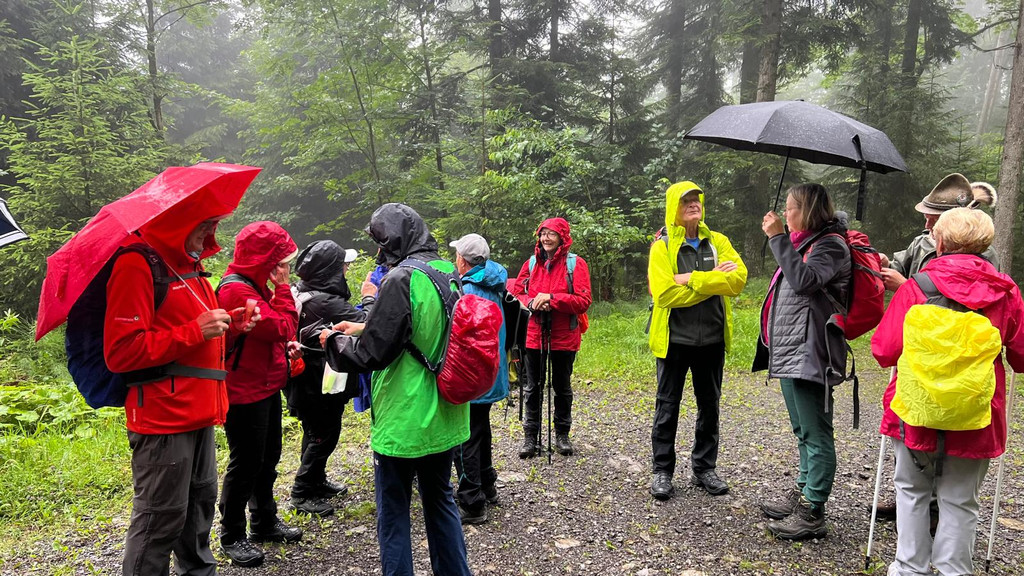 20240707_162552000_iOS 1.jpg