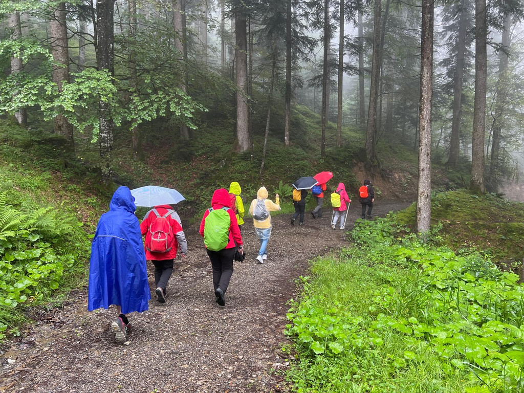 20240707_162552000_iOS 2.jpg