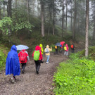 20240707_162552000_iOS 2.jpg