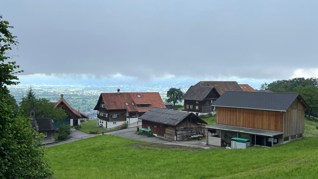 20240707_162554000_iOS 3.jpg