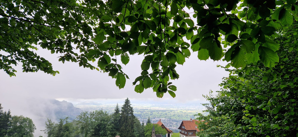 20240707_165719000_iOS 1.jpg