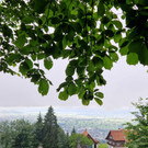 20240707_165719000_iOS 1.jpg