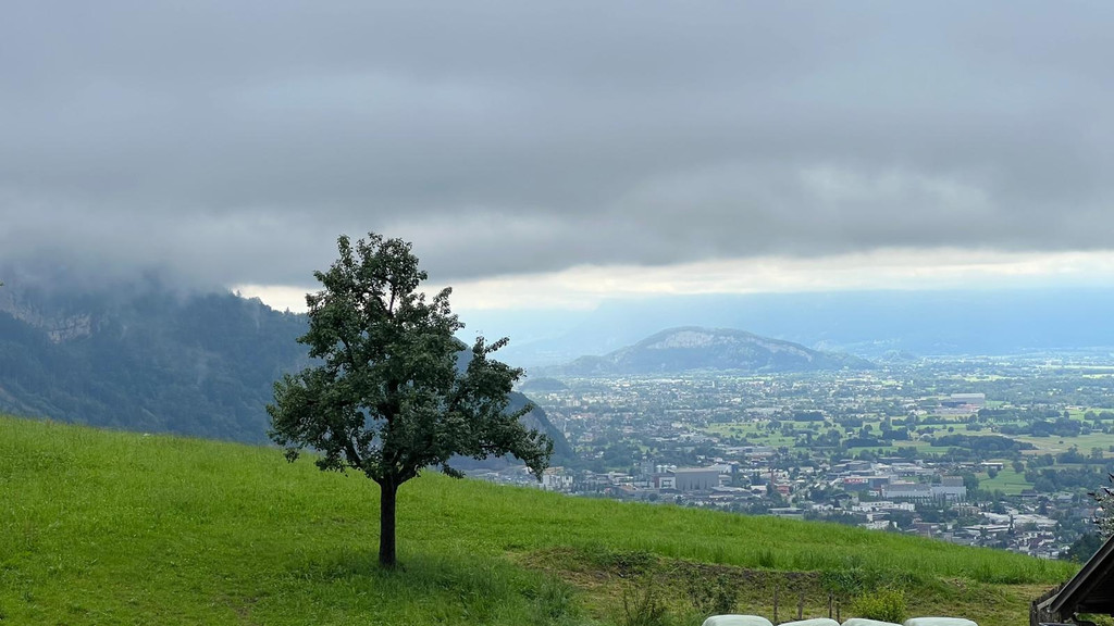 20240707_162554000_iOS 1.jpg