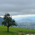 20240707_162554000_iOS 1.jpg