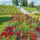 V50plus Bregenz Besuch der Landesgartenschau Wangen
