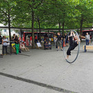 IMG_20240712_153759_1.jpg