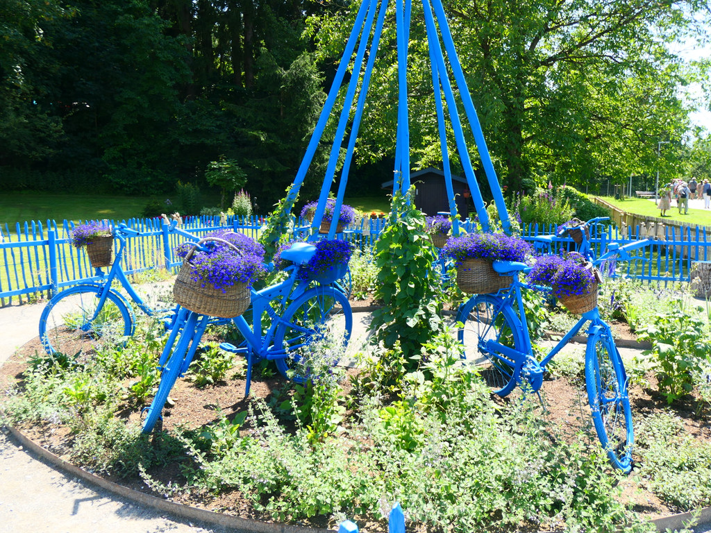 P1001175.JPG