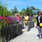 P1001194 - frame at 0m0s.jpg