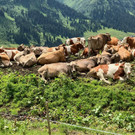 8a855a1d-498e-4314-a8d9-d701b57e1023.jpeg