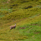 DSC_1871_Salzgeber.jpg
