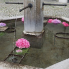 PVB30904.JPG