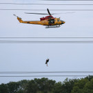 Severe_Weather_Toronto_78113.jpg
