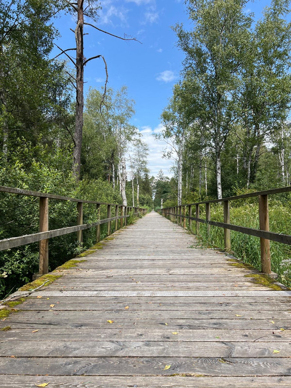 20240716_162708000_iOS - Kopie.jpg