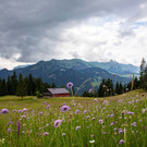 V50plus Sibratsgf__ll_-_c_Arno Huber.jpg