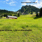 V50plus Sibratsgf__ll_c_Arno Huber.jpg