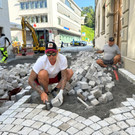 Steineklopfer 2.jpg