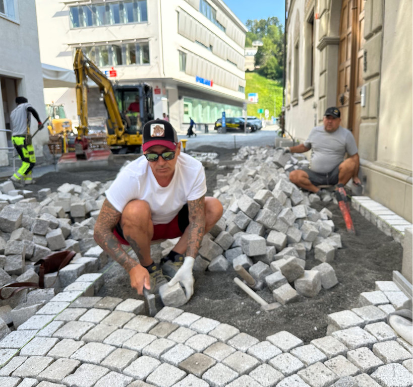 Steineklopfer 2.jpg