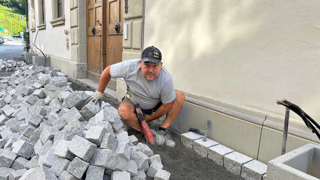 Steineklopfer 3.jpg