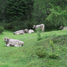 IMG_0600.JPG