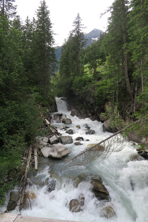 IMG_0648.JPG