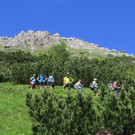 IMG_0690.JPG