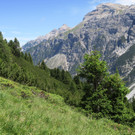 IMG_0692.JPG