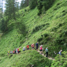 IMG_0694.JPG