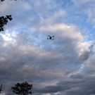 DSC_0113.JPG