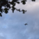 DSC_0111.JPG