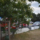 DSC_0105.JPG