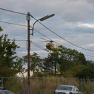 DSC_0091.JPG