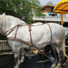 20240802_154847000_iOS 1.jpg