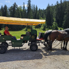 20240802_154855000_iOS 1.jpg