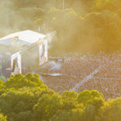 sziget_thu_DJI_20230810193738_0356_D.jpg