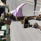 IMG_7530.jpeg