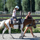 Eine Woche Pferdeglück am Reiterhof