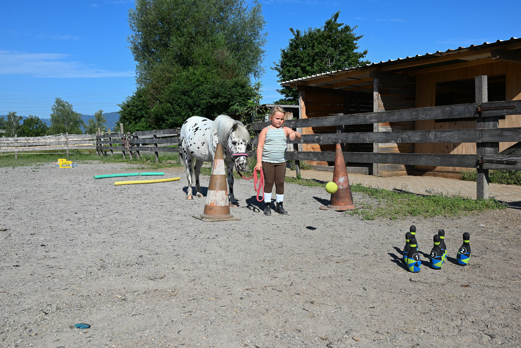 DSC_6334.jpg