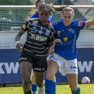 file7wr2wnec3ypu1k41gqk.jpg