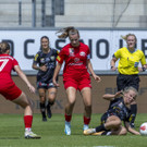 file7wr2x52ob5lvvuwcc87.jpg