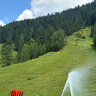 Waldbrand__bung Nenzinger Himmel 2024 _6_.jpg