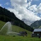 Waldbrand__bung Nenzinger Himmel 2024 _10_.jpg