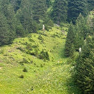 Waldbrand__bung Nenzinger Himmel 2024 _18_.jpg