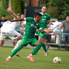 DSC01315a.jpg