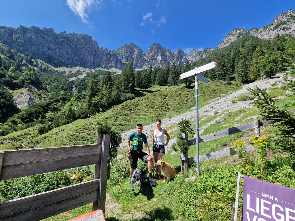 Sattelalpe3.jpg